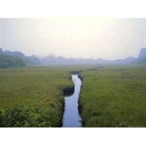  Morning Scene of Wetlands in Chatham, Cape Cod 