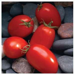  Davids Red Hybrid Grape Tomato Mariana 30 Seeds per 