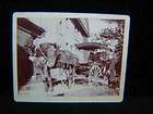 Antique PHOTOGRAPH c1900 Horse & Buggy Mr C.G. Woodbury