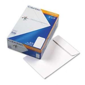   Purpose Catalog Envelopes, 6 x 9 Inches (Box of 100)