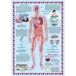  Vital Organs Jigsaw Puzzle 300pc Toys & Games