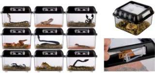 Exo Terra Reptile Stackable Breeding Box Terrarium SM  