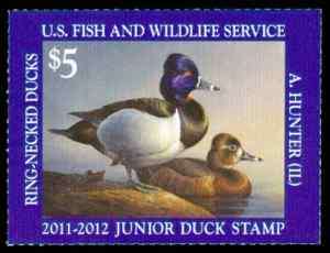 JDS19 Ring Necked Duck Stamp 2011 2012 Junior SINGLE  