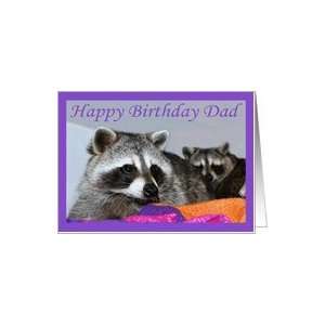  Dad Birthday, Raccoons together Card Health & Personal 