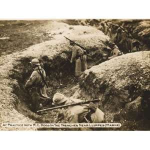  with Rc Dogs in the Trenches Near Luippes (Marne) During World 