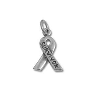  Breast Cancer Survivor Sterling Silver Ribbon Charm Arts 