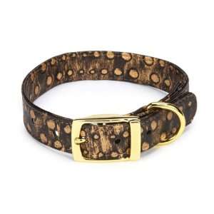   West End Dog Collar, 11 to 14 Inch, Gold Stud