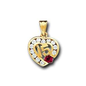   Yellow Gold Round CZ Sweet 15 Heart Charm Pendant IceNGold Jewelry