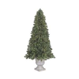   Pine Slim Tree in Urn 6 Foot 400 Warm White LED Lights Everything